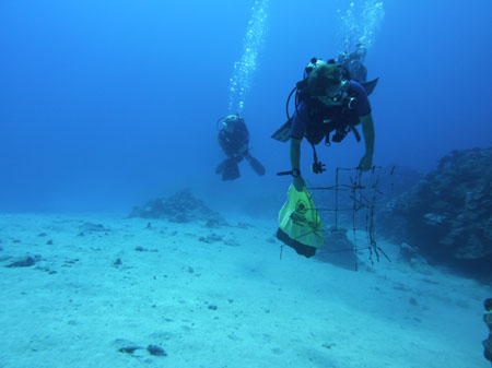 Avarua underwater cleanup (4)